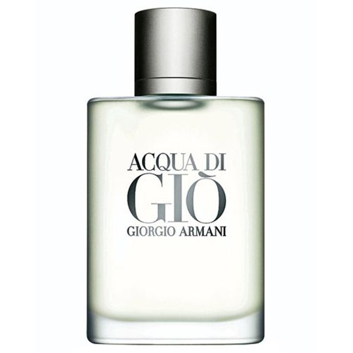 Acqua Di Gio Masculino Eau de Toilette 100ml